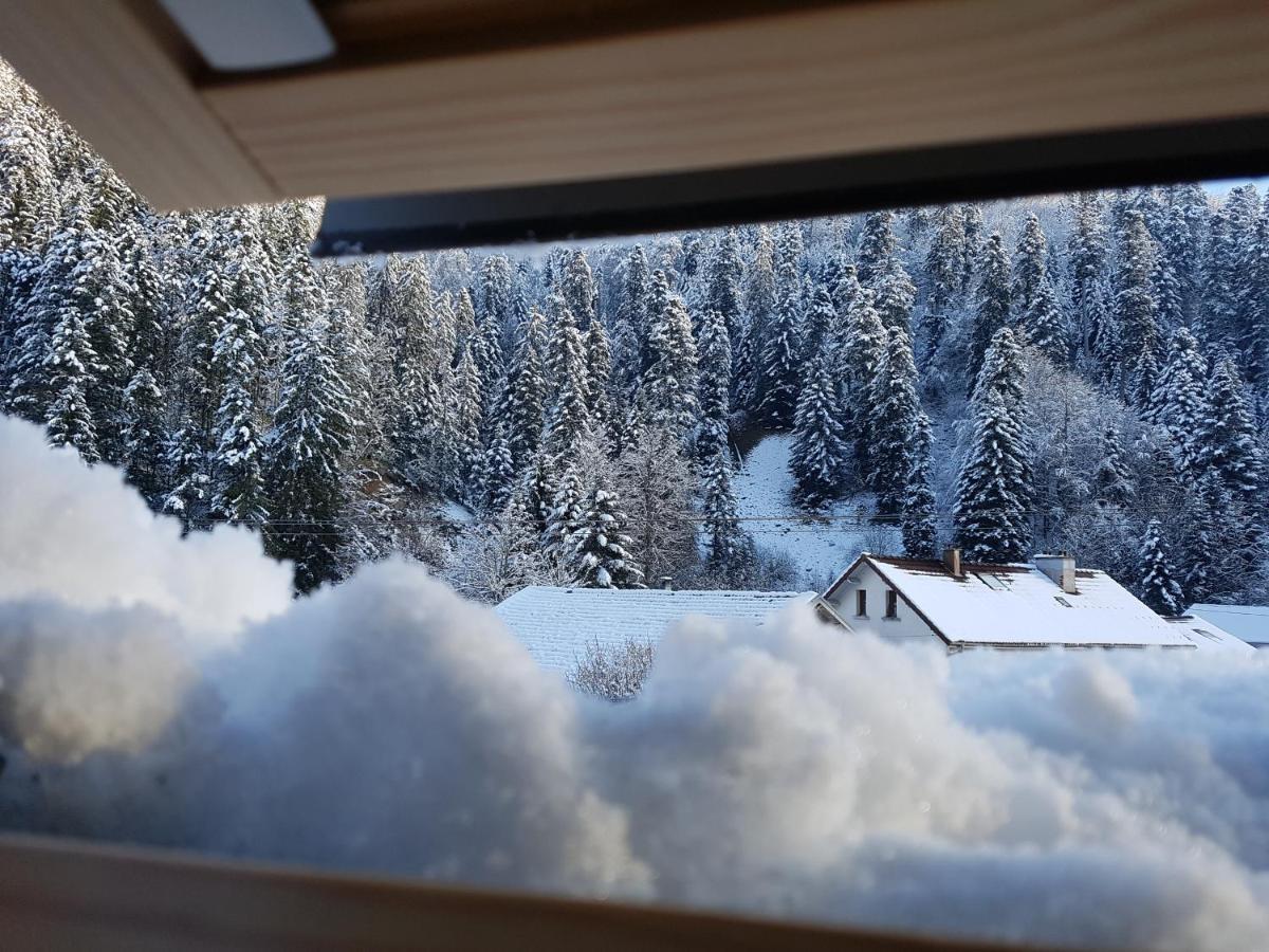 Appartement Le petit Kichon à Gérardmer Extérieur photo