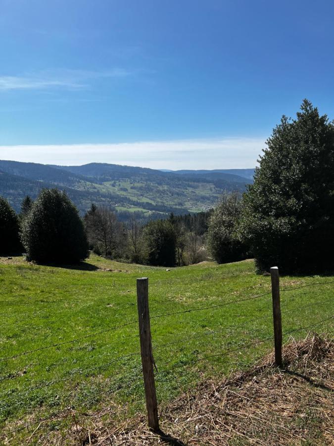 Appartement Le petit Kichon à Gérardmer Extérieur photo